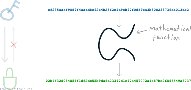 Diagram showing a private key being put through a mathematical function to produce a public key.