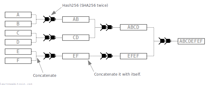 Technical diagram of a merkle tree structure.
