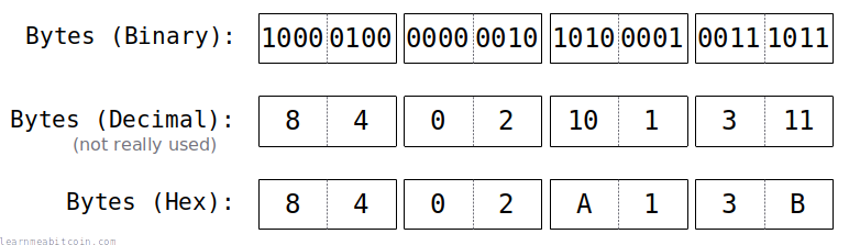 Diagram showing bytes of data represented in binary, decimal, and hexadecimal.