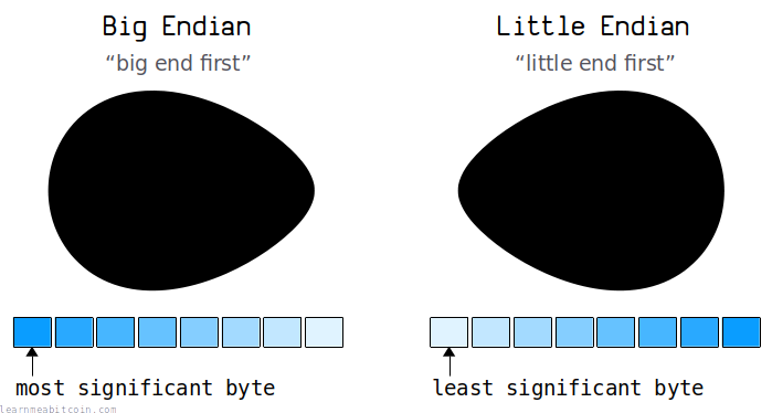 Diagram showing the little-end and big-end of eggs.