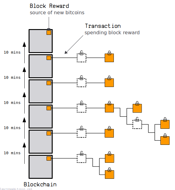 Diagram showing an interval of 10 minutes between new block rewards being issued, and the block rewards as the source of bitcoins in new transactions.