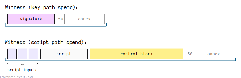 Diagram showing the location of the annex in the witness of a key path spend and script path spend
