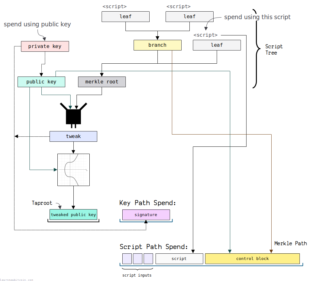 Diagram showing the basics of a key path spend and a script path spend for a P2TR locking script